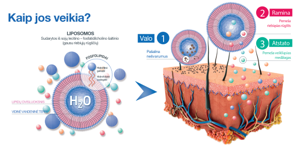 SESDERMA SENSYSES LIGHTENING LIPOSOMINIS VALIKLIS, 200 ML - Image 2