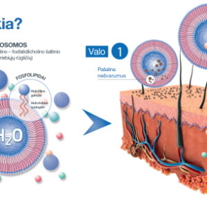 SESDERMA SENSYSES SEBUM LIPOSOMINIS VALIKLIS MIŠRIAI IR RIEBIAI ODAI, 200 ML